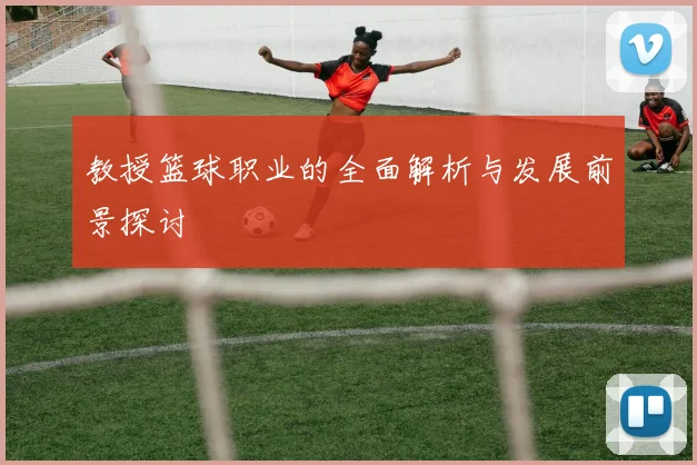 教授篮球职业的全面解析与发展前景探讨