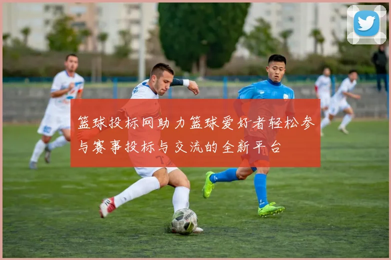 篮球投标网助力篮球爱好者轻松参与赛事投标与交流的全新平台